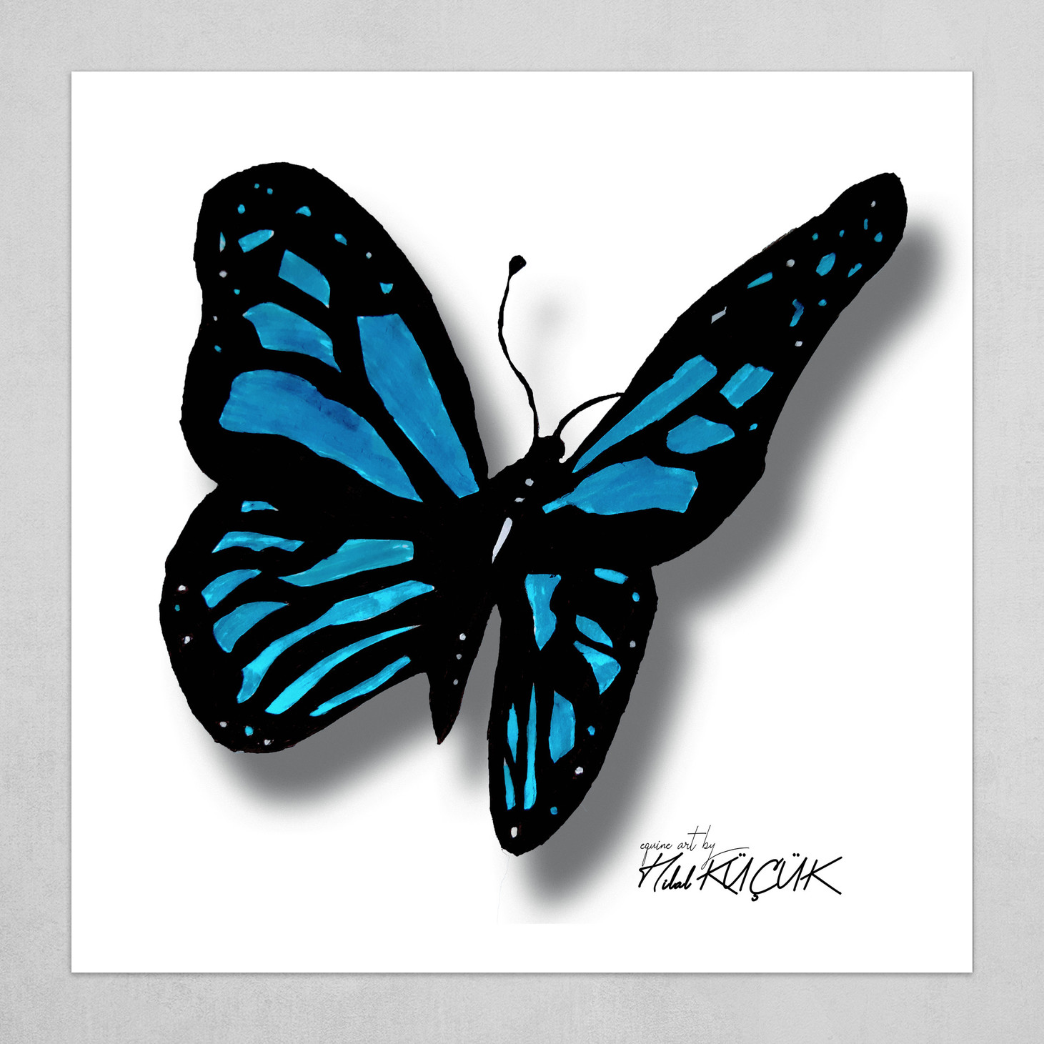 Blue butterfly sketch | Butterfly sketch, Pencil art for beginners, Color  drawing art