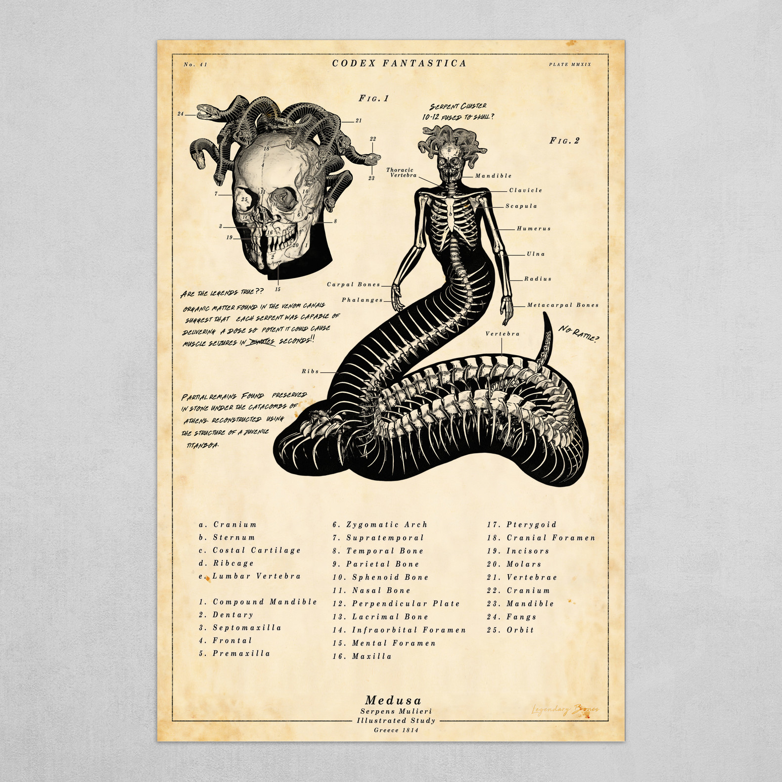 Gorgon Mythology Graphic · Creative Fabrica
