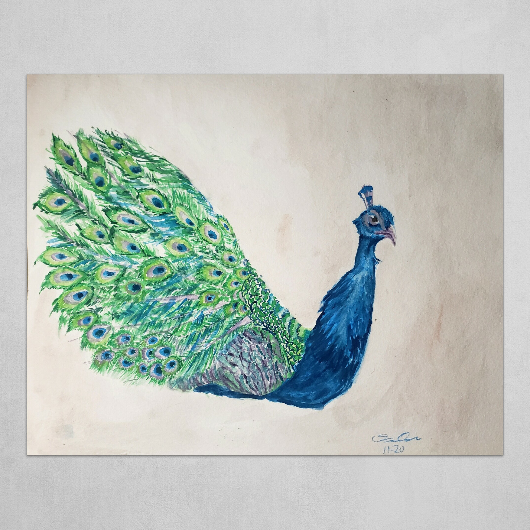 Simple Peacock