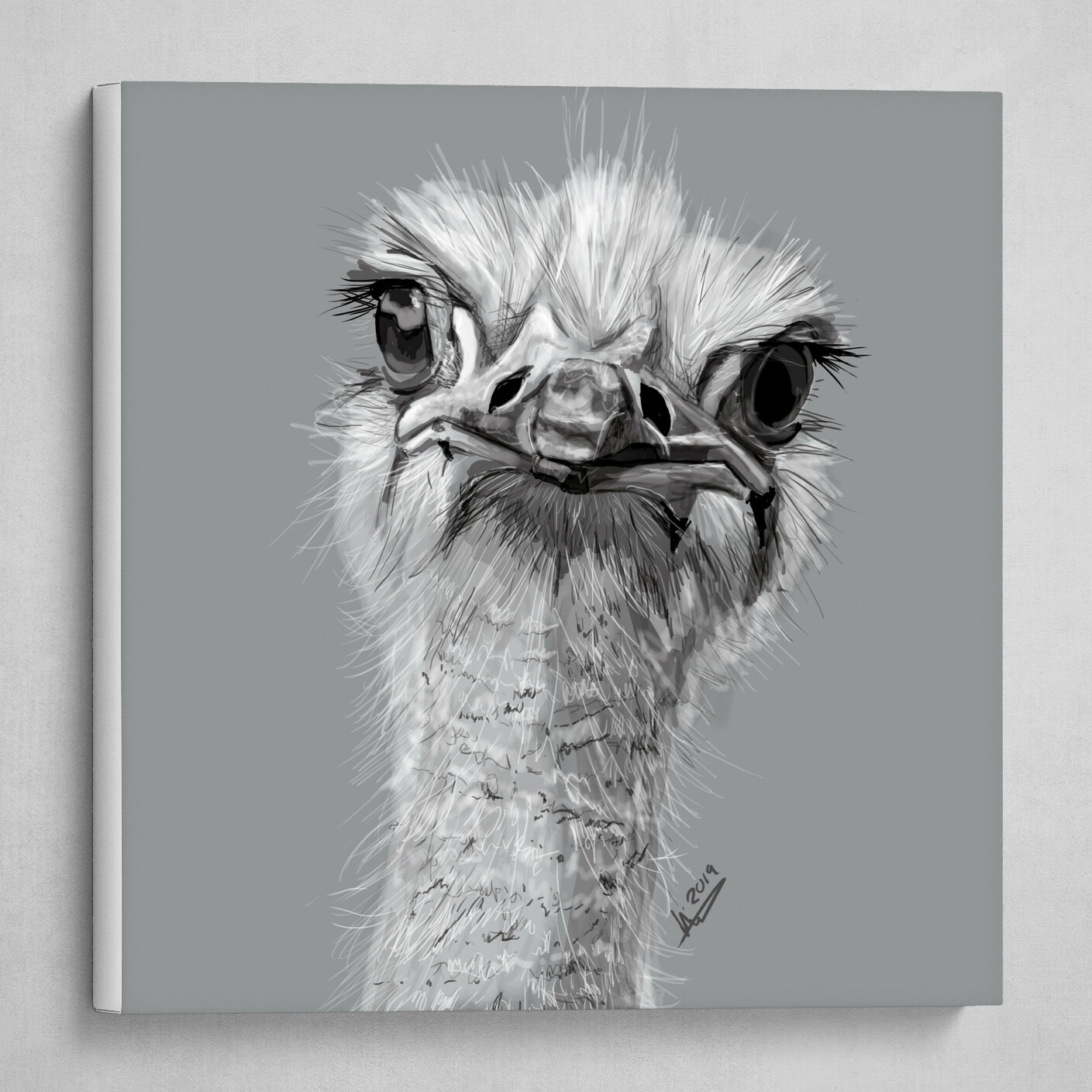 The Ostrich: He Disapproves