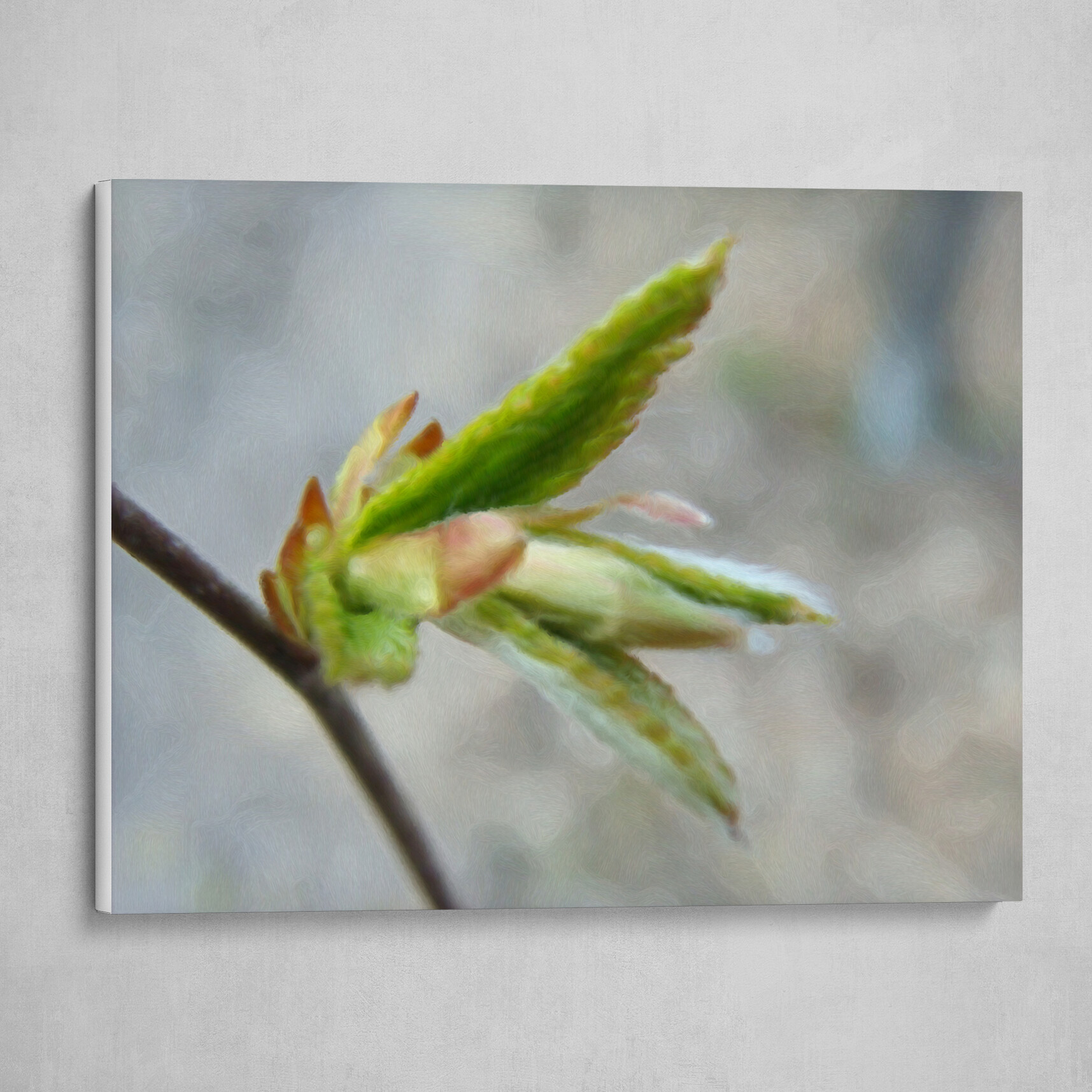 New Life
