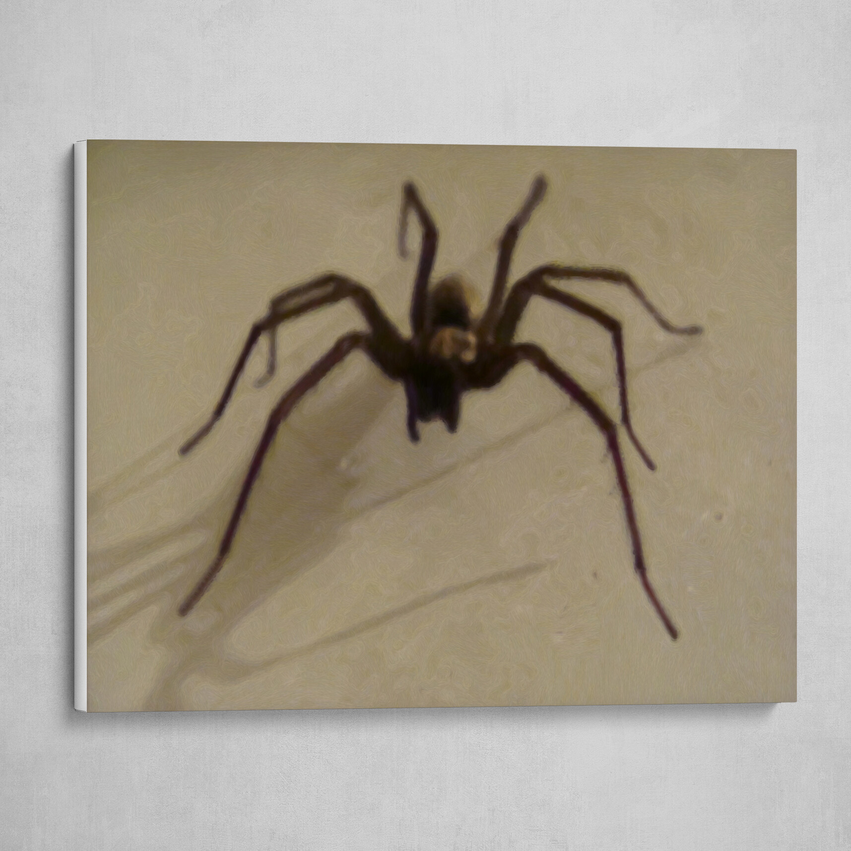 Spider on the Hunt
