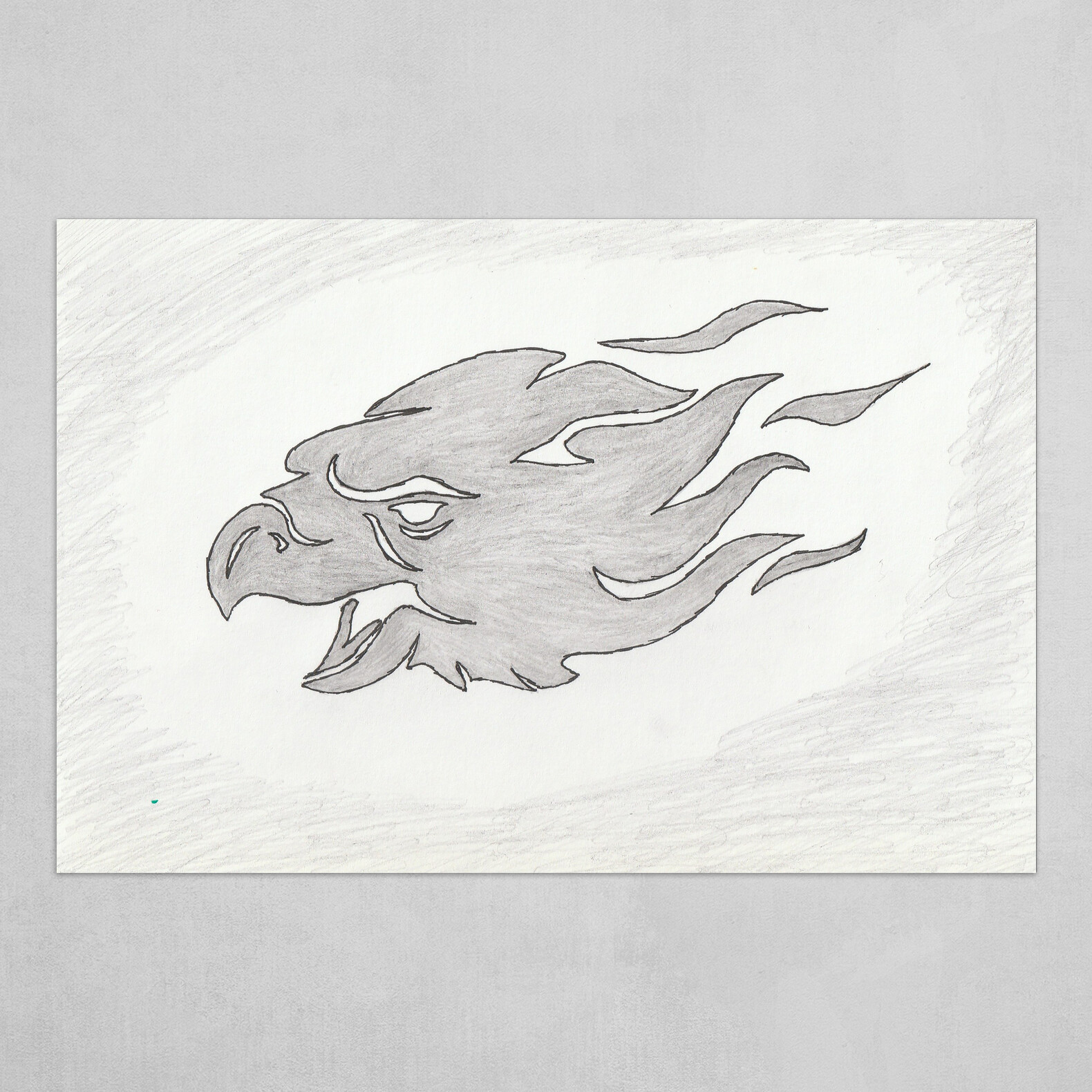 Eagle Fiery Face Sketch