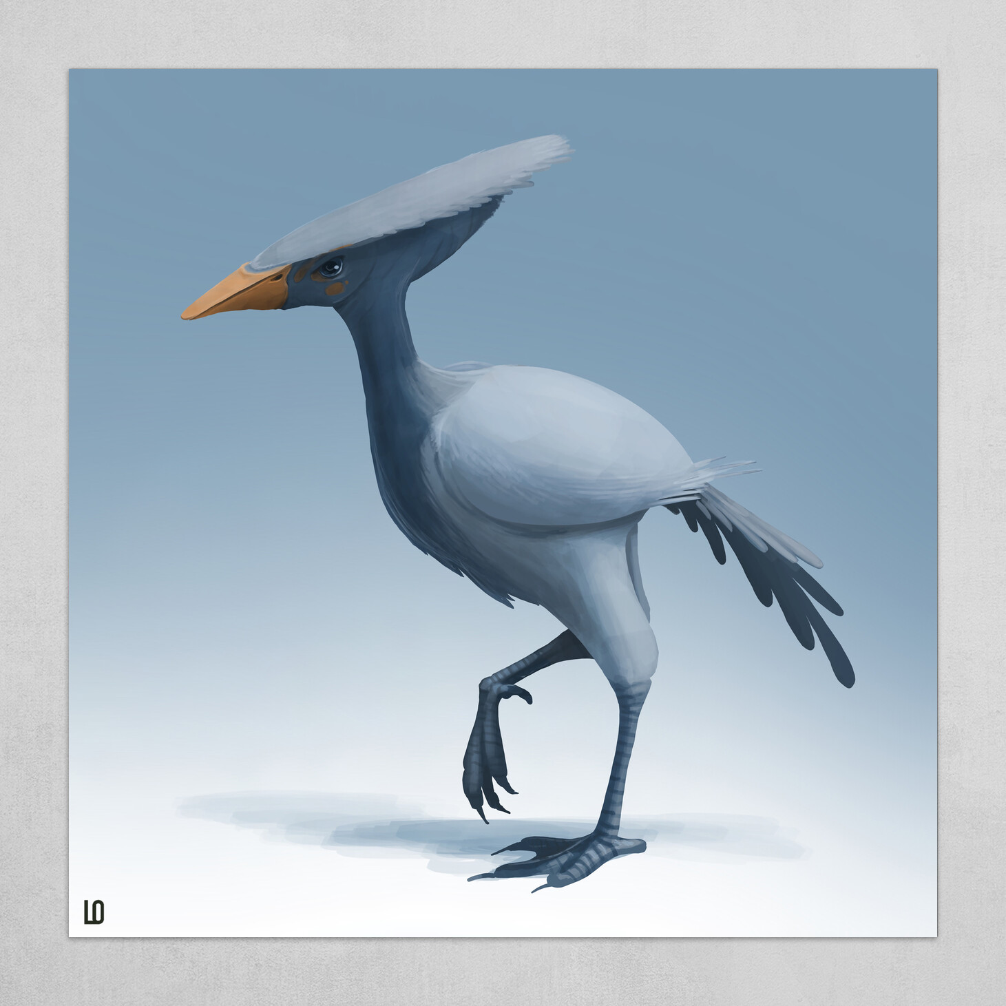 Flat-head bird #894