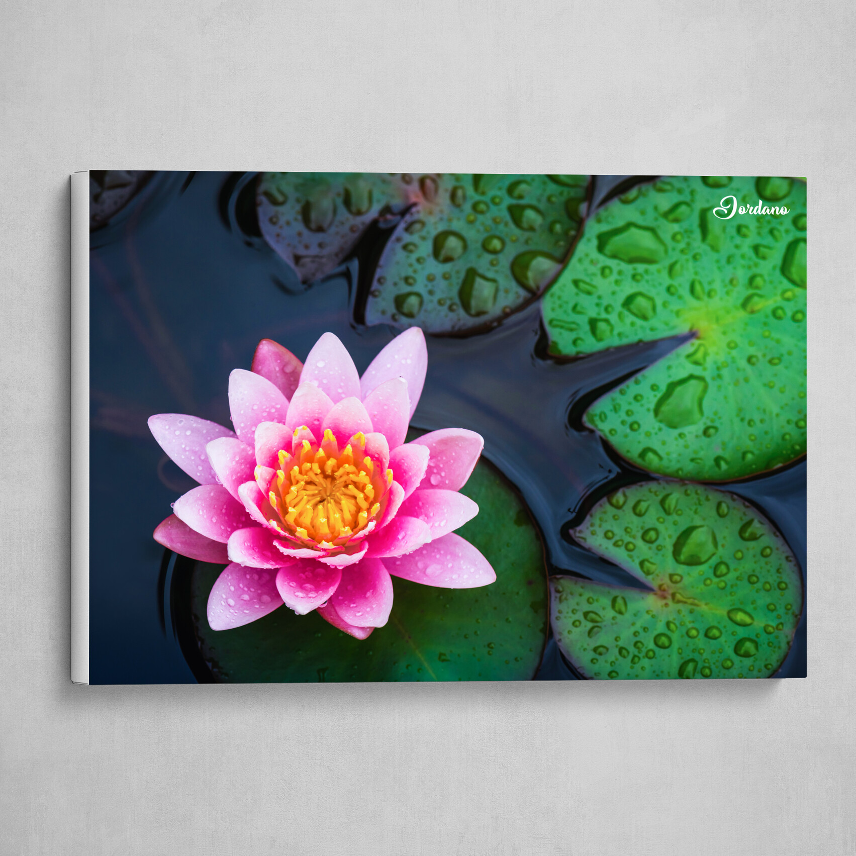 Lotus flowers print by Editors Choice