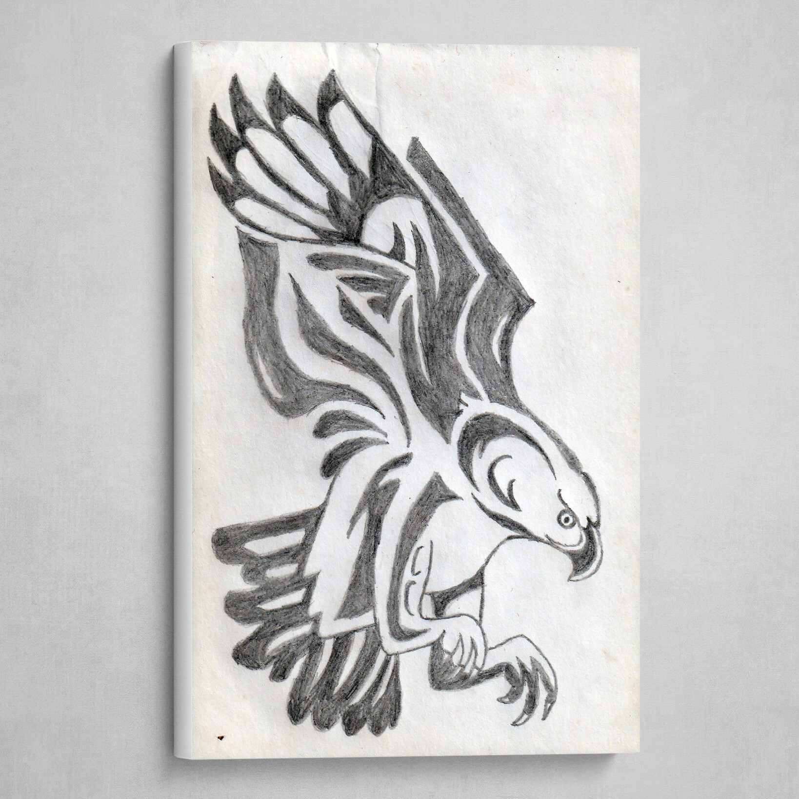 Eagle Body Pencil Sketch Art