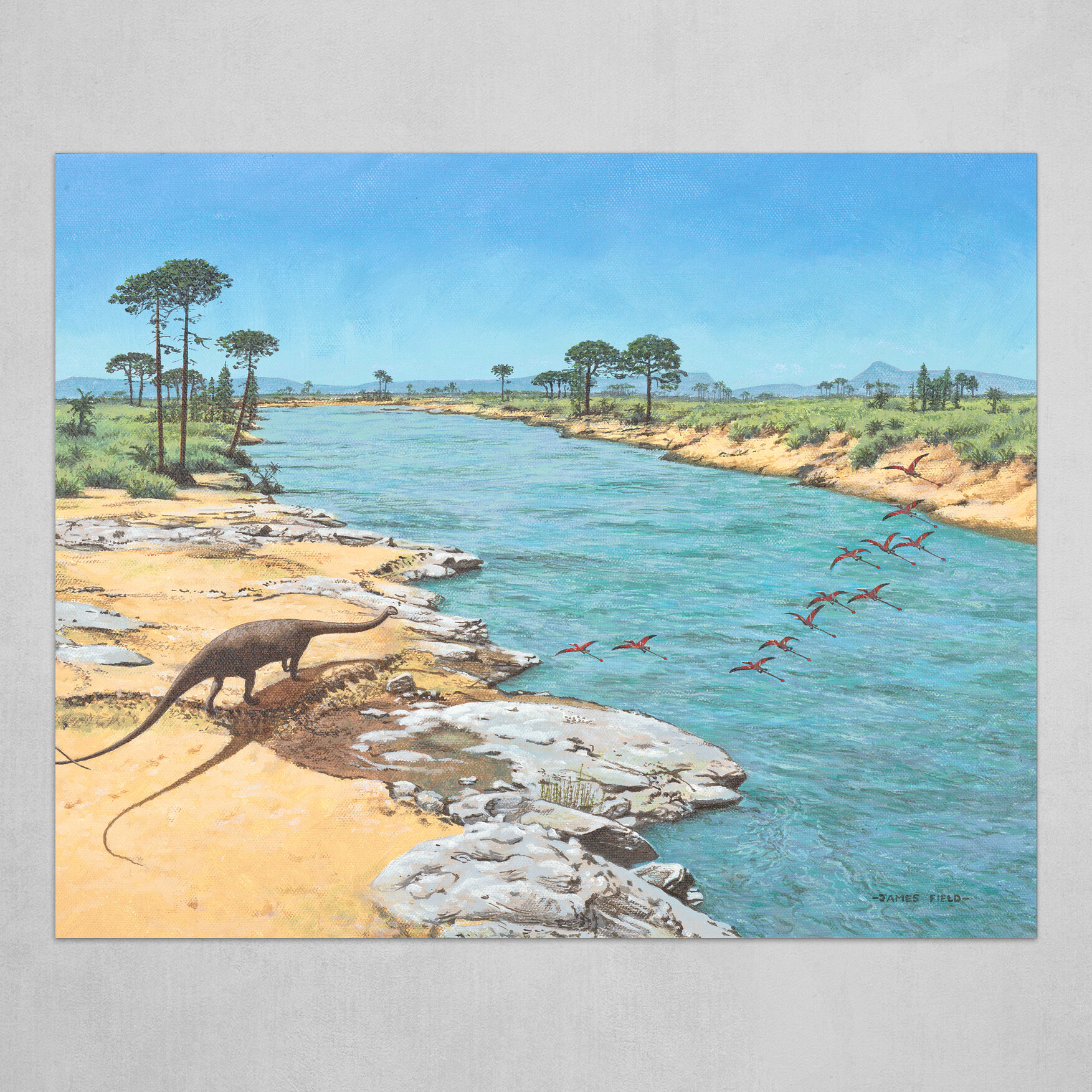 James Field's Anchisaurus