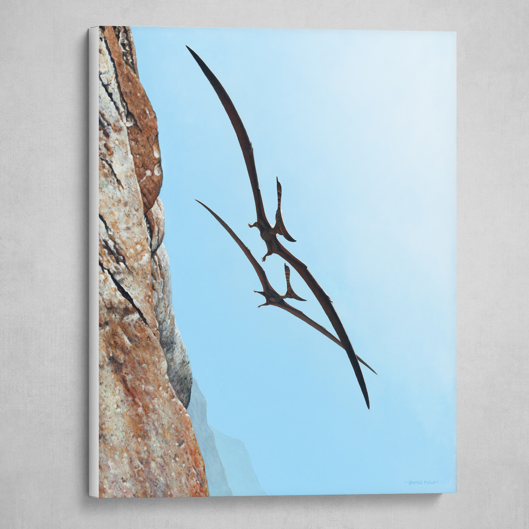 James Field's Using the Updraft: Pteranodon Sternbergi