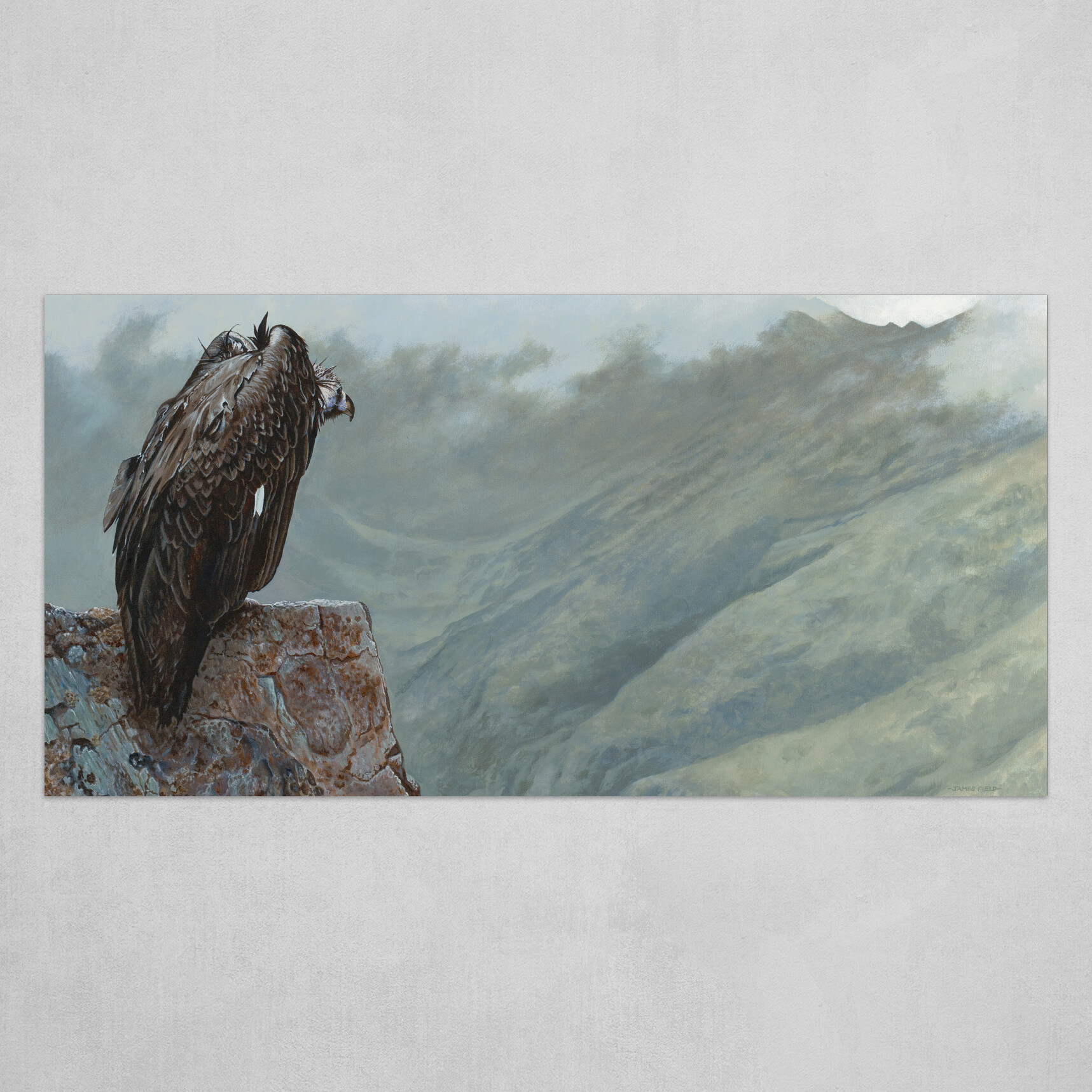 James Field's Pyrenean Perch