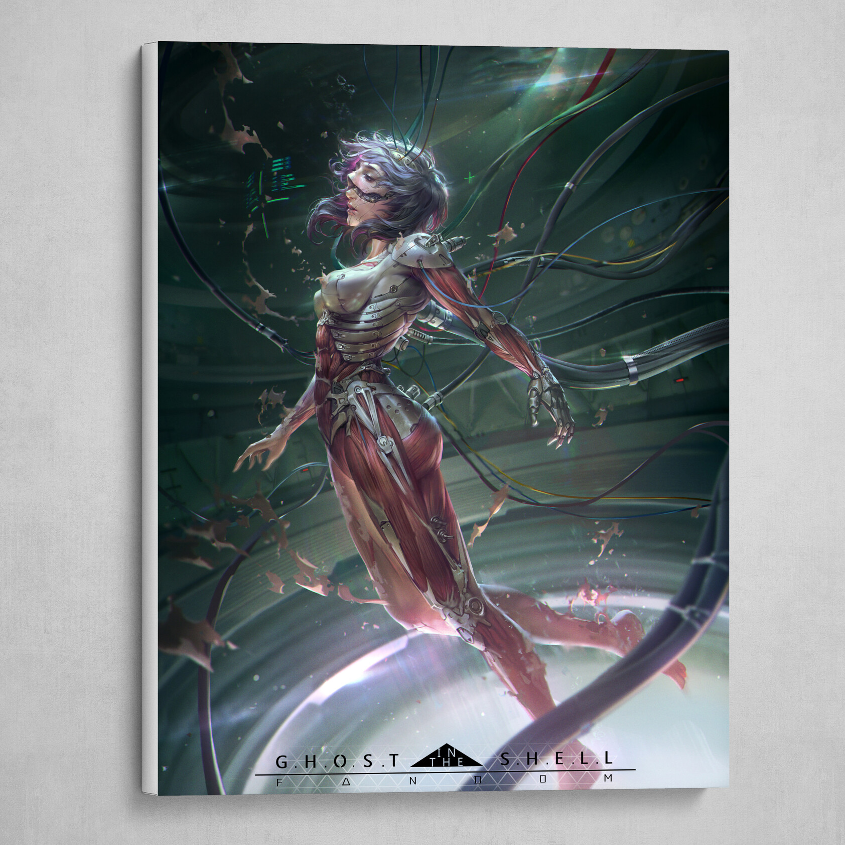 Ghost In the shell Fandom