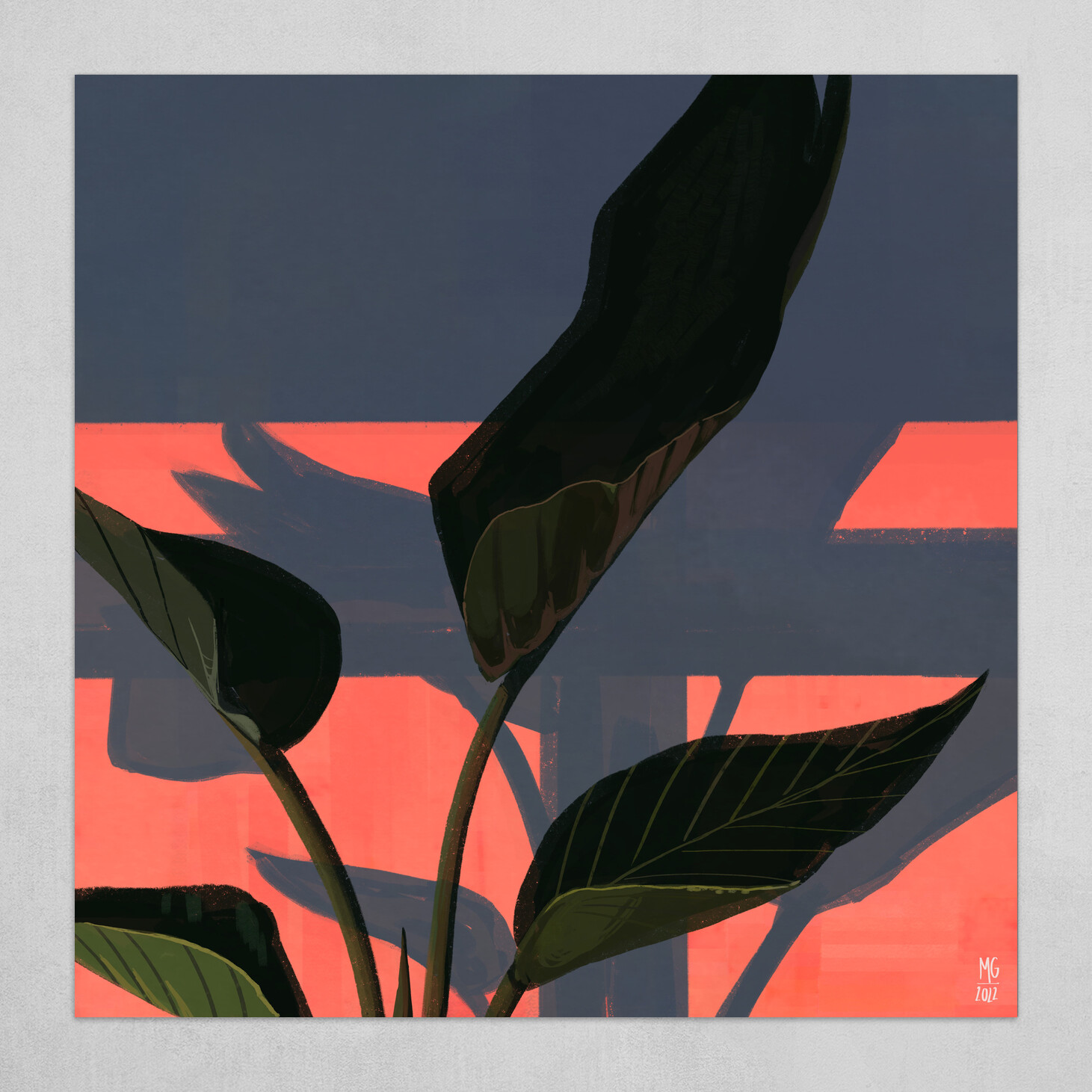 Bright Colours