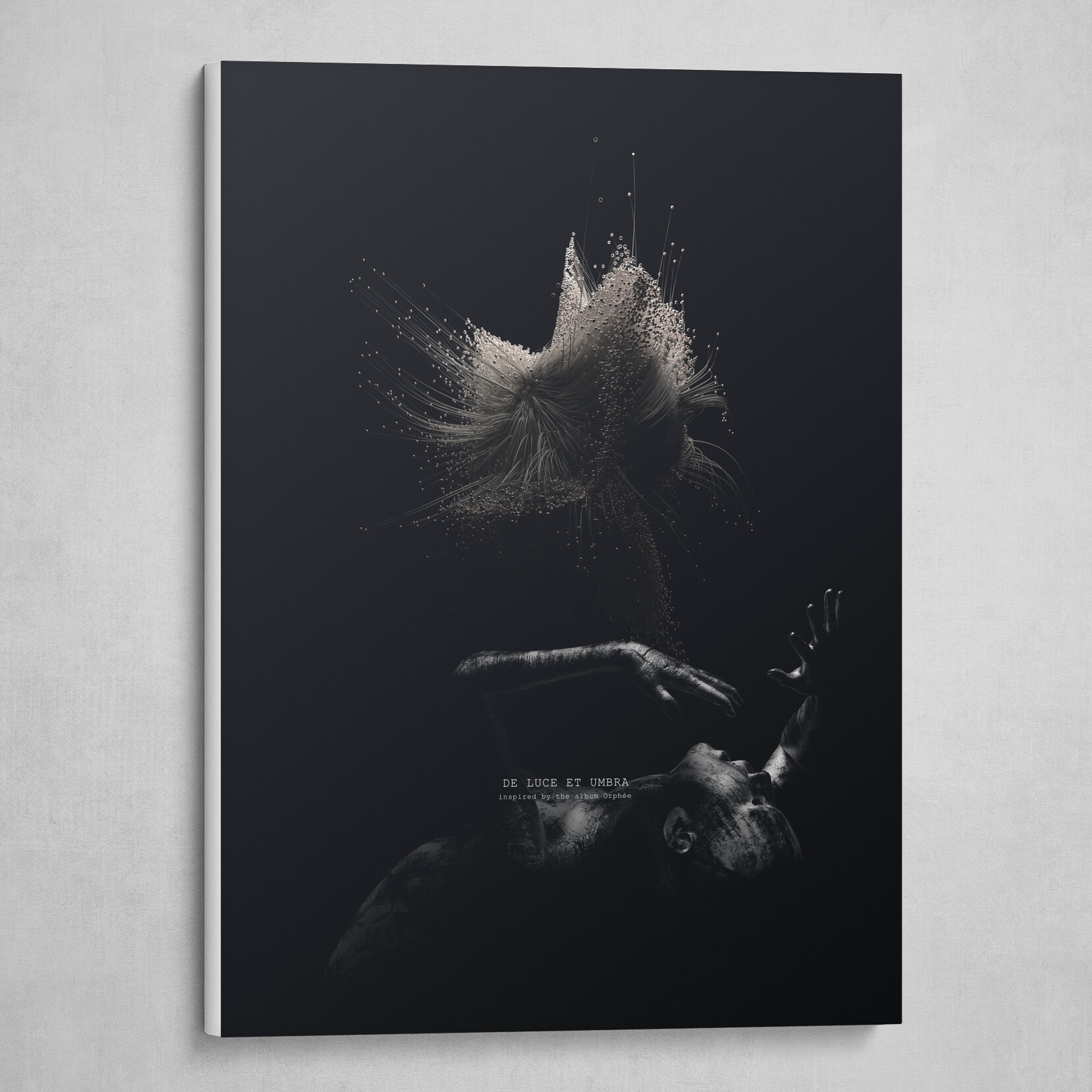 De Luce Et Umbra