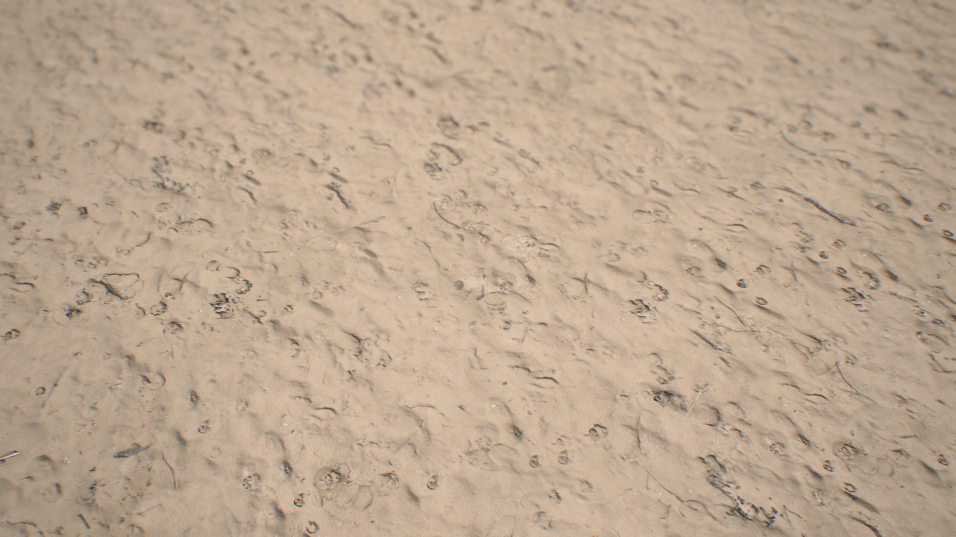 Artstation Alex Patel Sand 3d Scan Texture