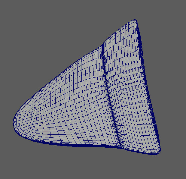 Şefki Ibrahim THE DIGITAL HUMAN PROJECT MODELLING & SCULPTING (Part 2)