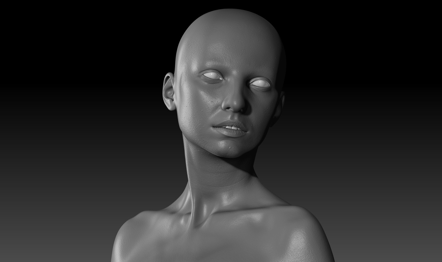 Şefki Ibrahim THE DIGITAL HUMAN PROJECT DISPLACEMENT MAP