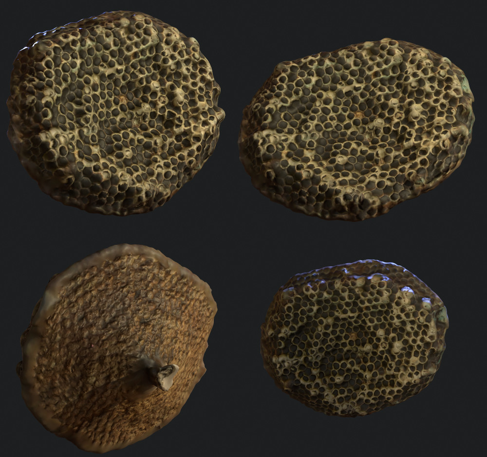 Artstation Glen Yancey Photogrammetry With The Hp Z 3d Camera