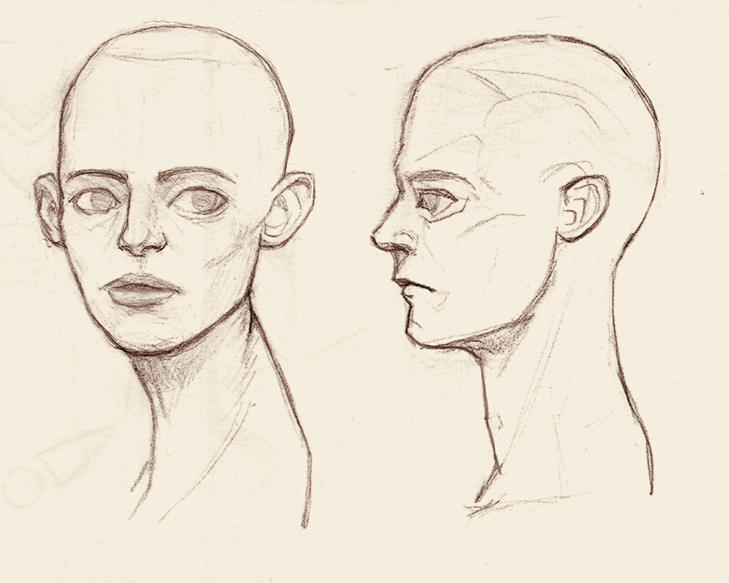 Head sketches 200617
