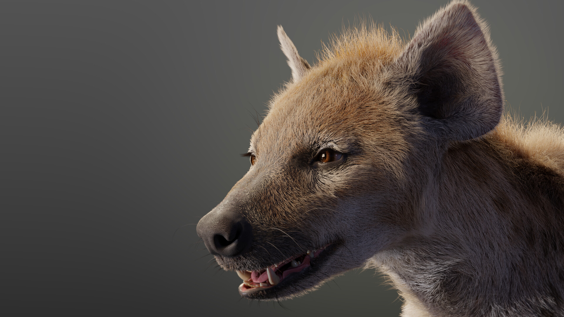 VFX models - Spotted Hyena