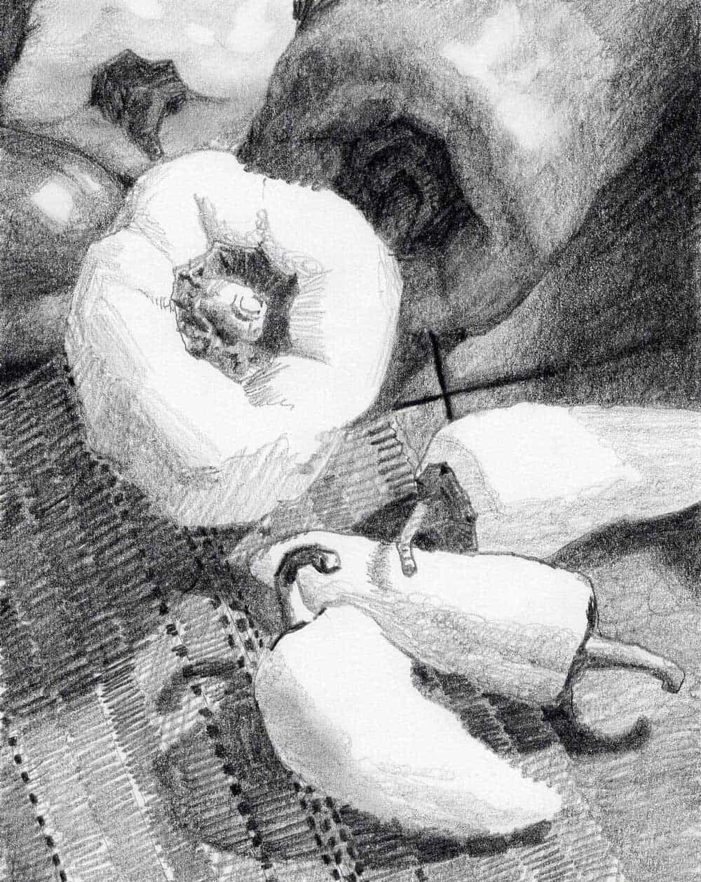 laying cat pencil sketch realistic – Alphe's Corner
