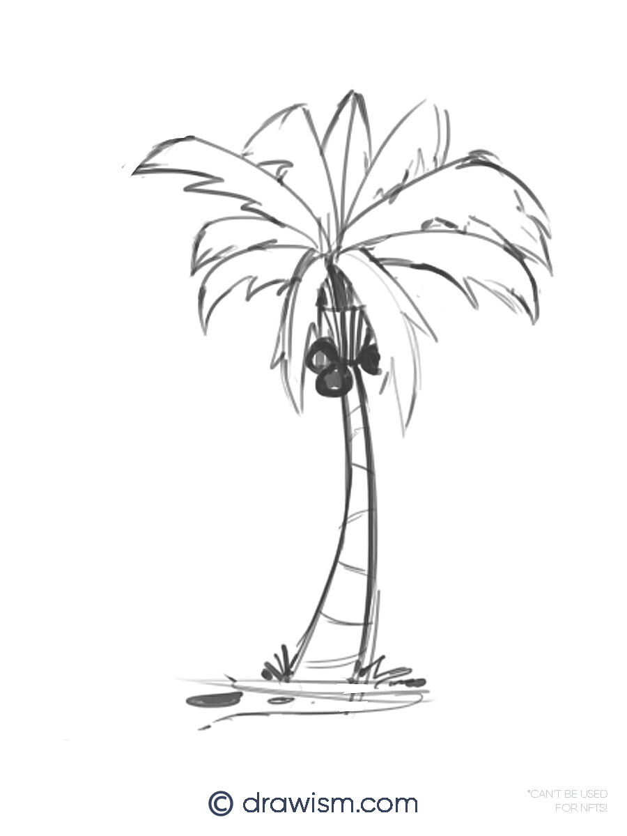 Palm Tree Island White Transparent, Sketch Line Island Shore Palm Tree,  Sketch, Line, Island PNG Image For Free Download