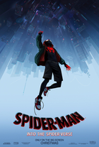 Spider man into the spiderverse 41hf 1