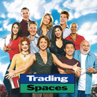 Trading spaces 2003