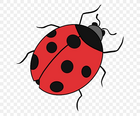 Drawing ladybird beetle image tutorial clip art png favpng udb9psn4jqwdb5bgfurfg34xh
