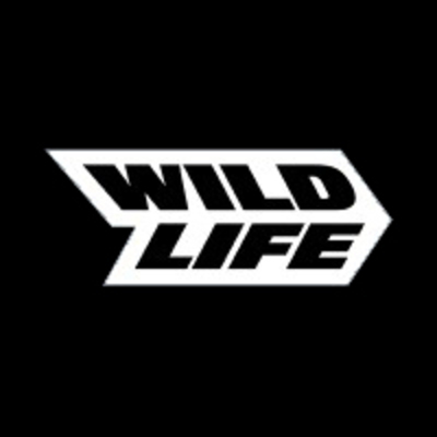 Jobs at Wildlife Studios