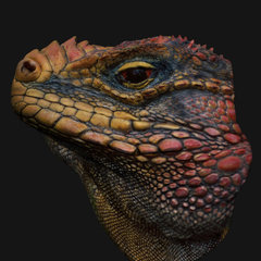 ArtStation profile picture for @r0gu3