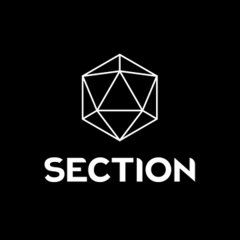 ArtStation profile picture for @section