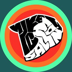 ArtStation profile picture for @sisi
