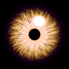 ArtStation profile picture for @tomasv