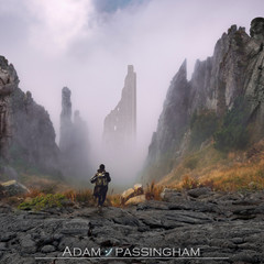 Adam Passingham