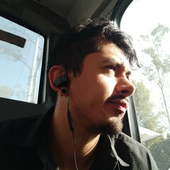 Ulises Alvarado Pérez
