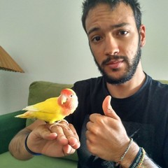 Rafael Marquês