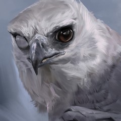ArtStation profile picture for @noer