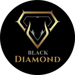 ArtStation - Black Diamond