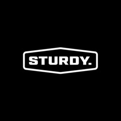 ArtStation profile picture for @sturdy
