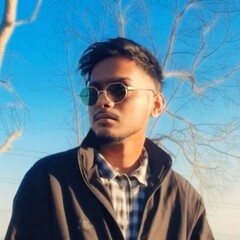 Bishal Roy
