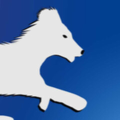 OneSilix