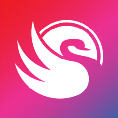 Swan Drawn
