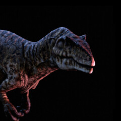 DracoWarrior