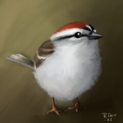 Rebecca Dorr Resume - E24e796b47447d2d3250700b25724f48 