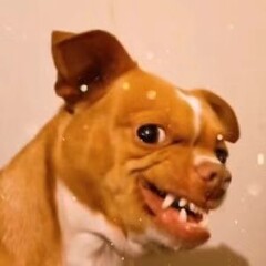 ArtStation profile picture for @disinfectant