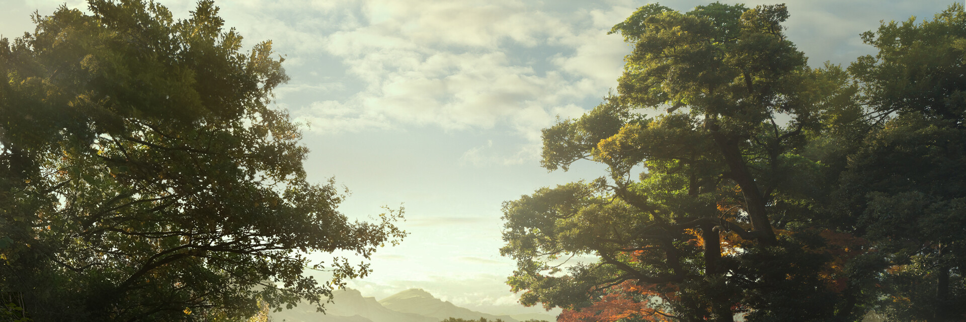 ArtStation banner for @usama