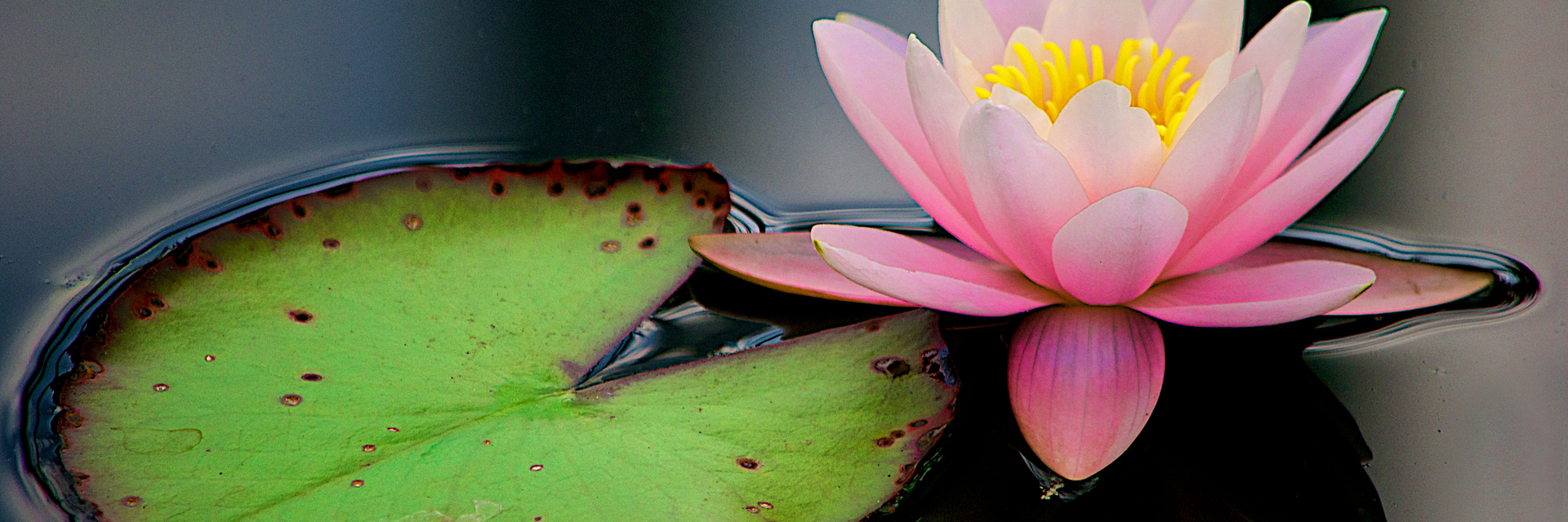 ArtStation Kevin Currie