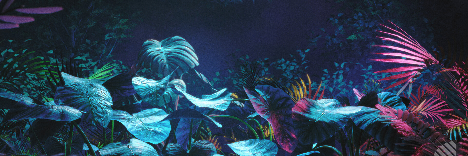 ArtStation banner for @niranjan