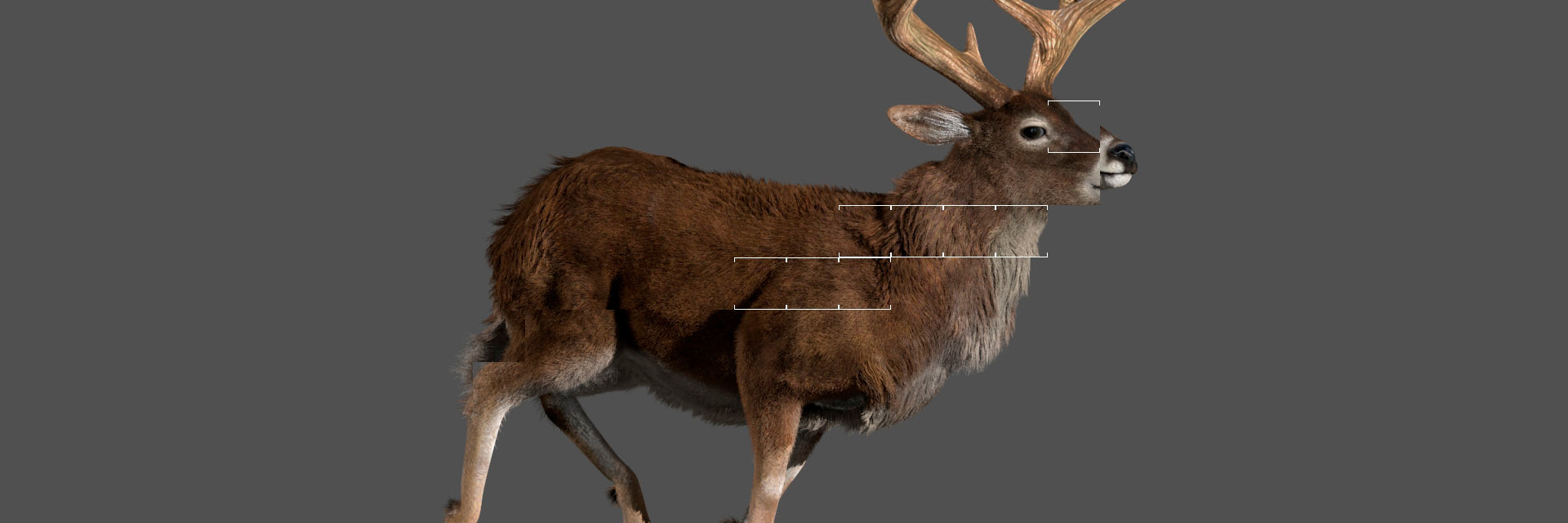 ArtStation banner for @gerardo