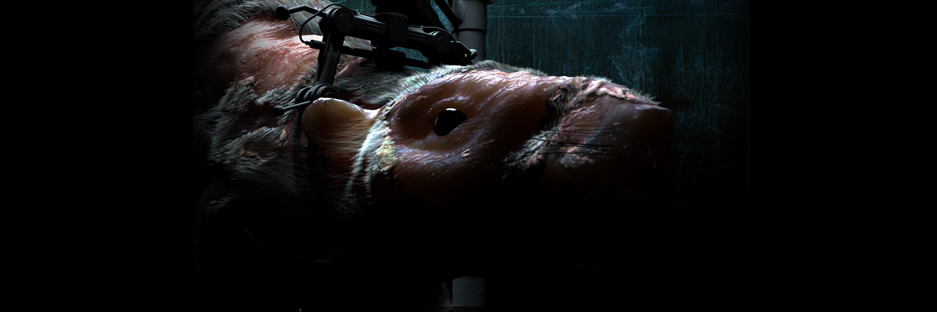 ArtStation banner for @pid
