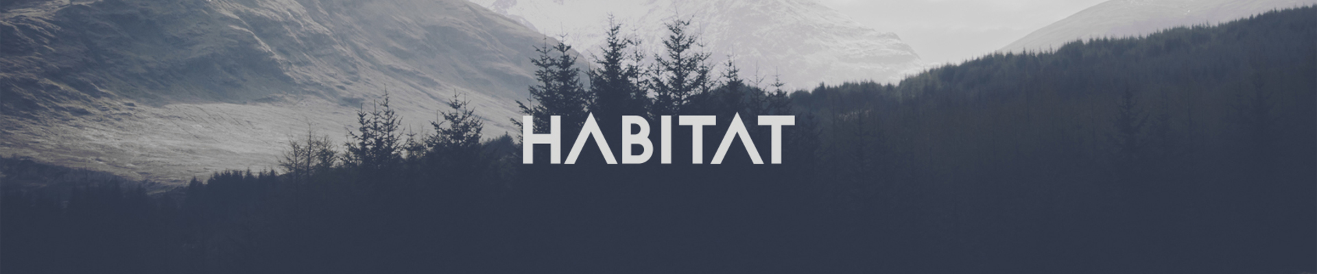 ArtStation banner for @mitchell